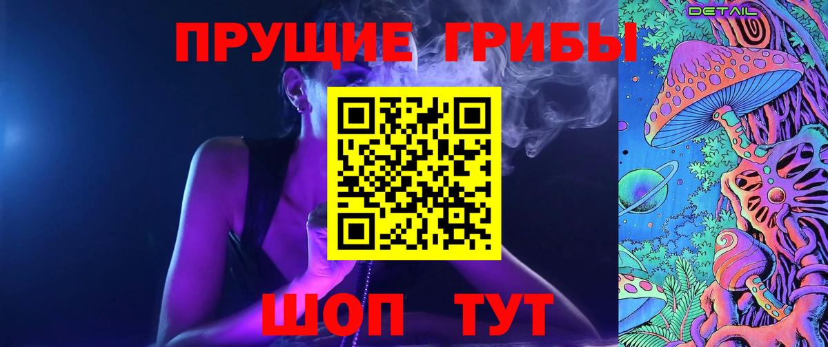 Псилоцибиновые грибы Psilocybe Азнакаево