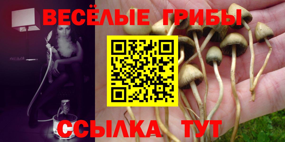 купить закладку  Вход с VPN  Азнакаево  Псилоцибиновые грибы GOLDEN TEACHER 
