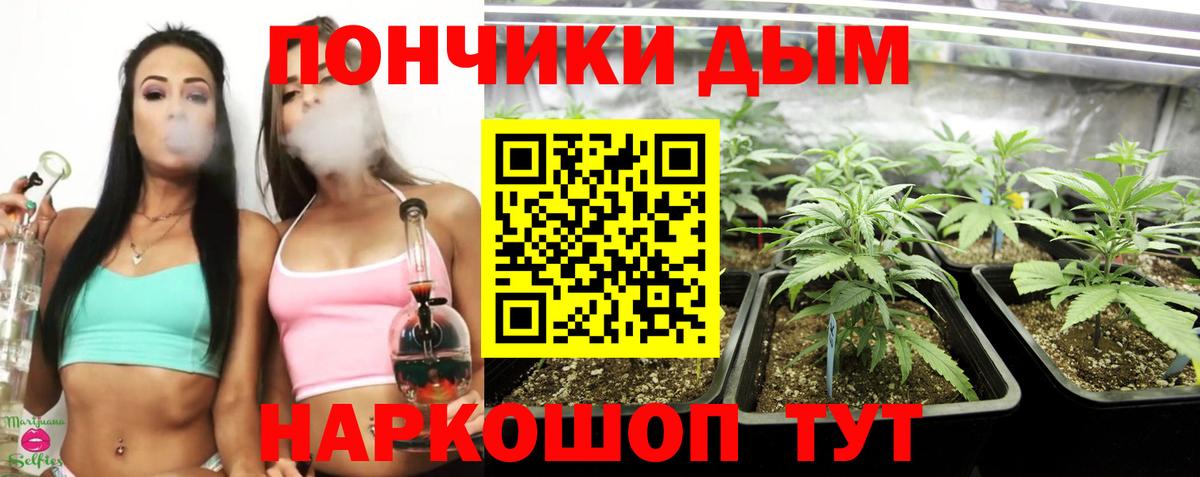 Бошки Шишки MAZAR Азнакаево